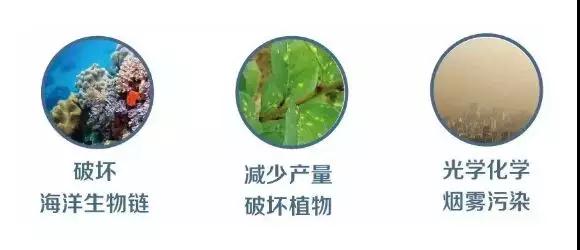 微信图片_20180925100601.jpg